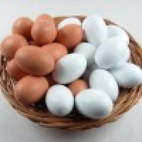 木制仿真鸡蛋(白色和红色可选) Super Wooden Egg (White)