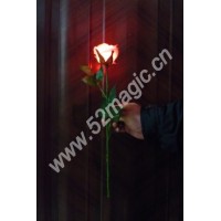 精品亮灯玫瑰(红光) Lighting Rose