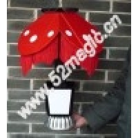 花变台灯 Instant Flower Vase to Night Lamp