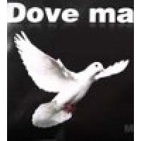 新款专业鸽袋(鸽囊,白色) Professional Dove Bag and Dove Bag Holder Set - White