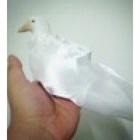 单手出鸽袋(白色,纽扣式) One hand Dove Bag ( White )