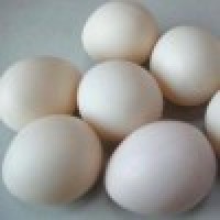 仿真塑料空心鸡蛋(白色,整体型) Super Plastic Egg (White,Hollow)