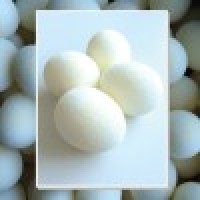 海绵鸡蛋(4个/套) Sponge Eggs (4pk.) by Alan Wong - Trick