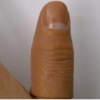 仿真拇指套(大号) Thumb Tip (Large)