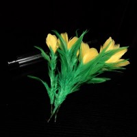 一花变五(黄花) 变多花(一花变四) Five in One Flower - Feather