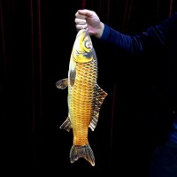 空杆钓鱼--空手变鱼(中号54cm)中鱼 Appearing Fish (54cm)