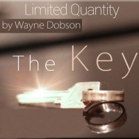 新钥匙串联戒指--The Key (Silver)