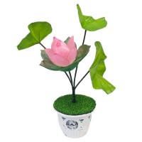遥控荷花开合 Blooming Lotus - Remote Control