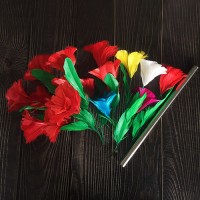 日本羽毛花组合秀 Appearing Bouquets & Color Changing