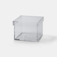 透明轻重盒(拿不起的盒子) AGRAVITY BOX