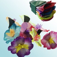 空手出花(2009立体逼真版)精致型 空手出花(布) Super Flowers From Fingertips (Fabric)