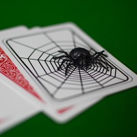 蜘蛛与网-兰斯.波顿 Web Trick Jim Pace