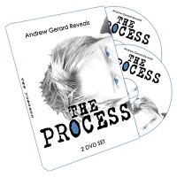 The Process by Andrew Gerard