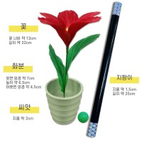魔棒变花(高品质版本) WAND TO FLOWER by JL Magic